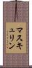 マスキュリン Scroll