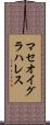マセオイグラハレス Scroll