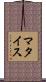 マタイス Scroll