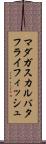 マダガスカルバタフライフィッシュ Scroll