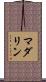 Madalyn Scroll
