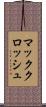 マッククロッシュ Scroll