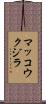 マッコウクジラ Scroll