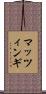 マッツィンギ Scroll