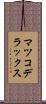 マツコデラックス Scroll