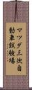 マツダ三次自動車試験場 Scroll
