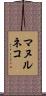 マヌルネコ Scroll