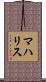 マハリス Scroll