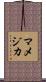 マメジカ Scroll