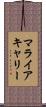 マライアキャリー Scroll