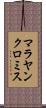 マラヤンクロミス Scroll