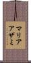 マリアアザミ Scroll