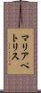 マリアペトリス Scroll
