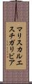 マリスカルエスチガリビア Scroll
