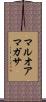 マルオアマガサ Scroll