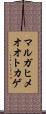 マルガヒメオオトカゲ Scroll