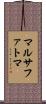 マルサファトマ Scroll