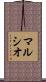 マルシオ Scroll
