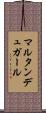 マルタン・デュ・ガール Scroll