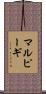 マルピーギ Scroll