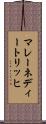 マレーネディートリッヒ Scroll