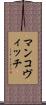 マンコヴィッチ Scroll