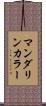 マンダリン・カラー Scroll