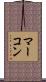 マーコン Scroll