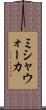 ミシャウォーカ Scroll