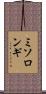 ミソロンギ Scroll