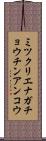 ミツクリエナガチョウチンアンコウ Scroll
