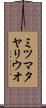 ミツマタヤリウオ Scroll