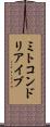 ミトコンドリア・イブ Scroll