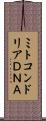 ミトコンドリアＤＮＡ Scroll