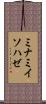 ミナミイソハゼ Scroll