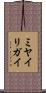 ミヤイリガイ Scroll