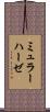 ミュラーハーゼ Scroll