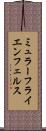 ミュラーフライエンフェルス Scroll