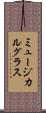 ミュージカル・グラス Scroll