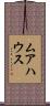 ムアハウス Scroll