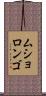 ムショロンゴ Scroll