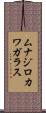 ムナジロカワガラス Scroll
