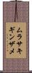 ムラサキギンザメ Scroll