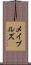 Maples Scroll