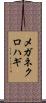 メガネクロハギ Scroll
