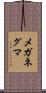 メガネグマ Scroll