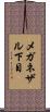 メガネザル下目 Scroll