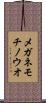 メガネモチノウオ Scroll