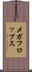 メガフロップス Scroll