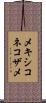 メキシコネコザメ Scroll